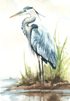 Heron Signed Print A4