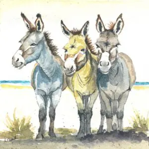 Donkeys Signed Print 8x8