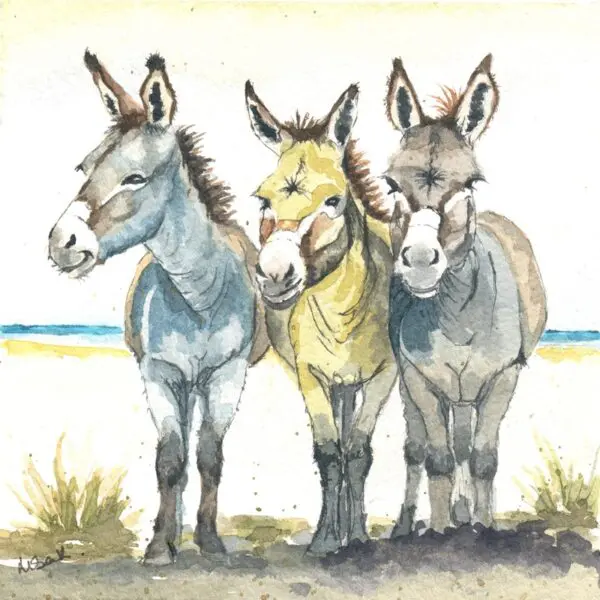 Donkeys Signed Print 8x8