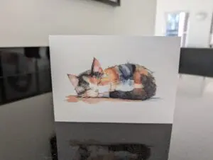 Kitten Card